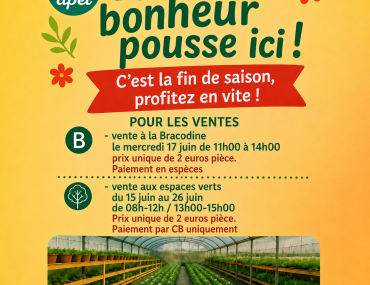 Atelier espaces verts ; fin de saison : profitez en !